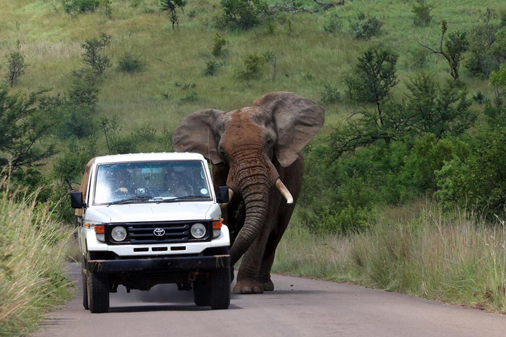car rental uganda