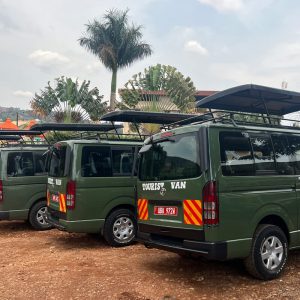 pws-vans-8